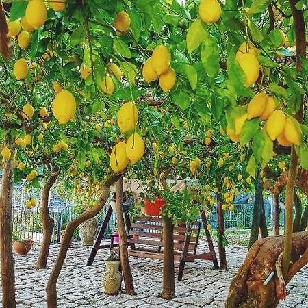 Il Limoneto Degli Angeli Villa Minori Exterior foto