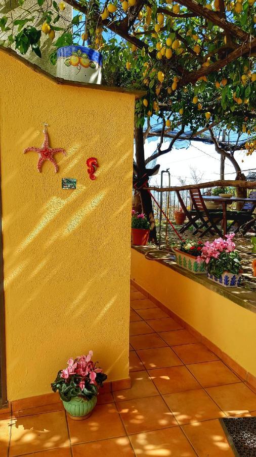 Il Limoneto Degli Angeli Villa Minori Exterior foto