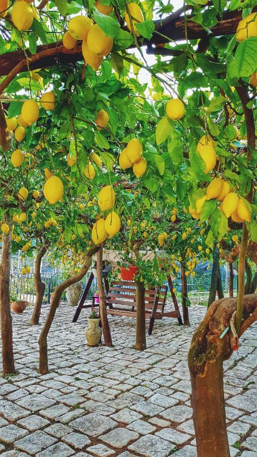 Il Limoneto Degli Angeli Villa Minori Exterior foto
