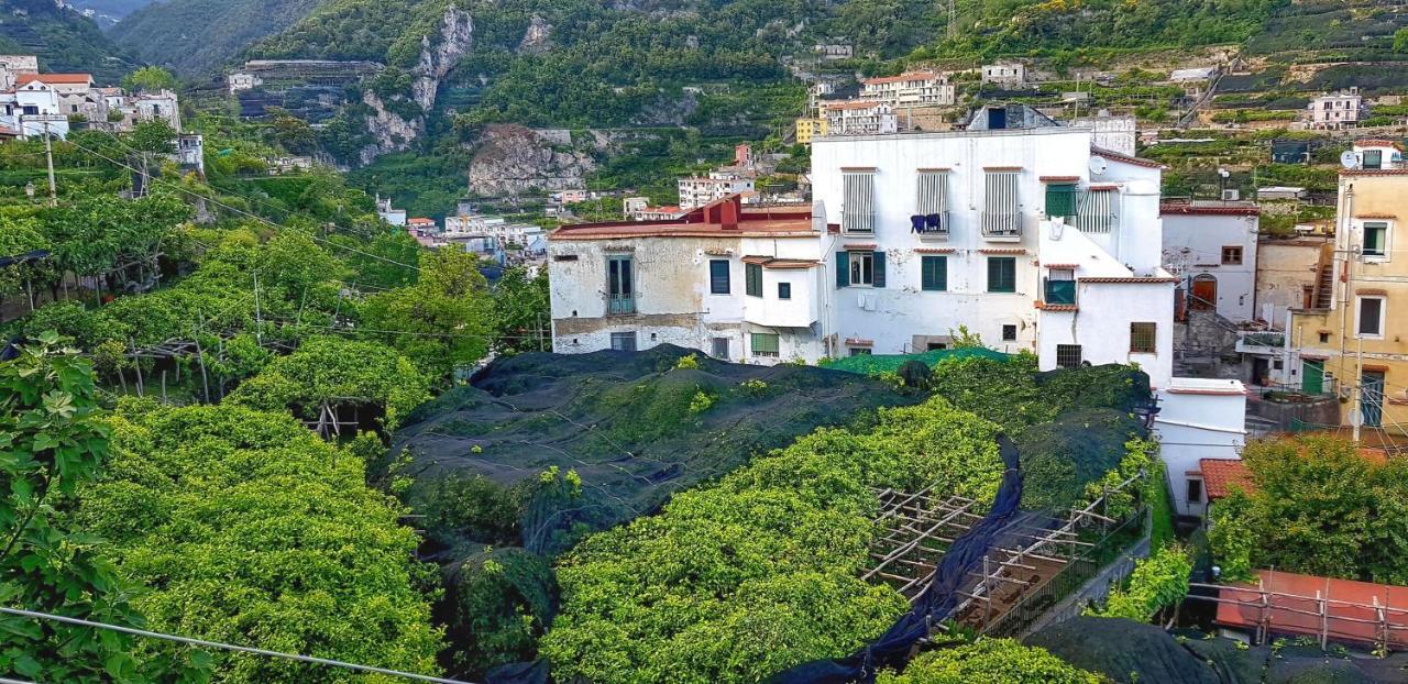 Il Limoneto Degli Angeli Villa Minori Exterior foto