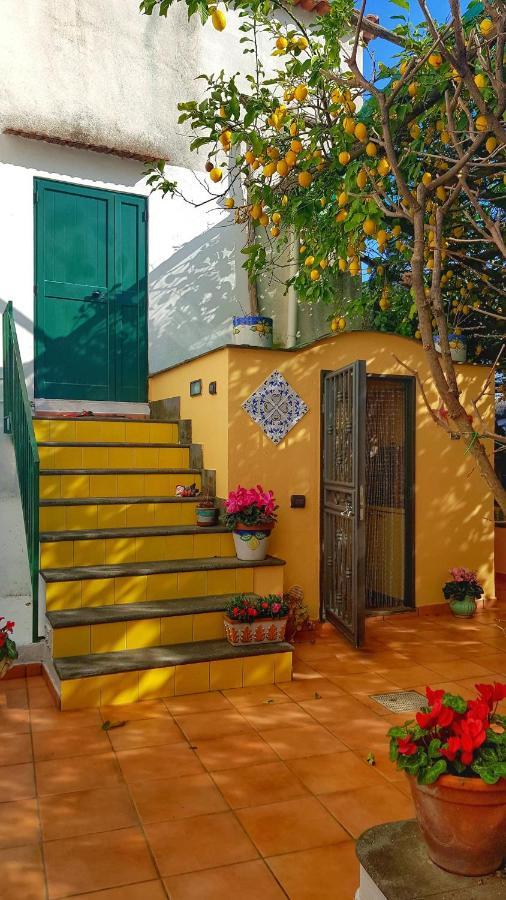 Il Limoneto Degli Angeli Villa Minori Exterior foto