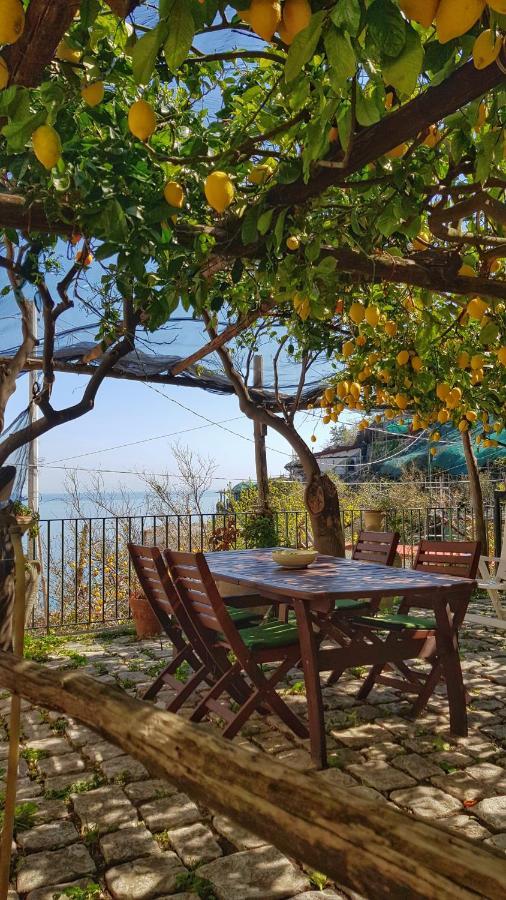 Il Limoneto Degli Angeli Villa Minori Exterior foto