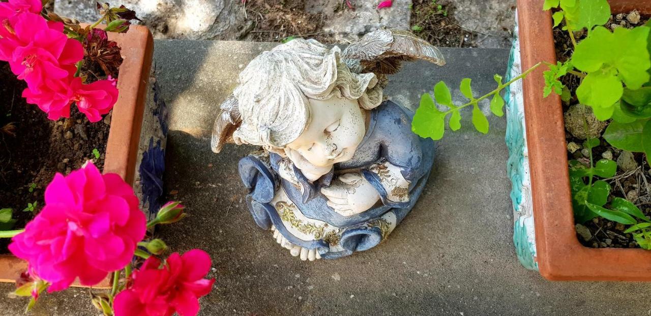 Il Limoneto Degli Angeli Villa Minori Exterior foto