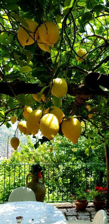 Il Limoneto Degli Angeli Villa Minori Exterior foto