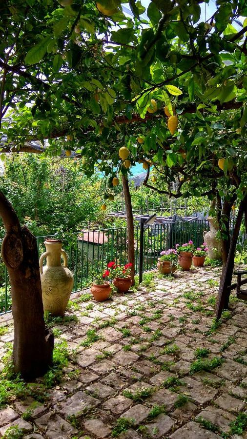 Il Limoneto Degli Angeli Villa Minori Exterior foto