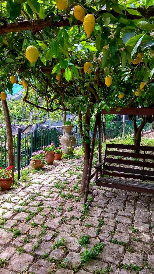 Il Limoneto Degli Angeli Villa Minori Exterior foto